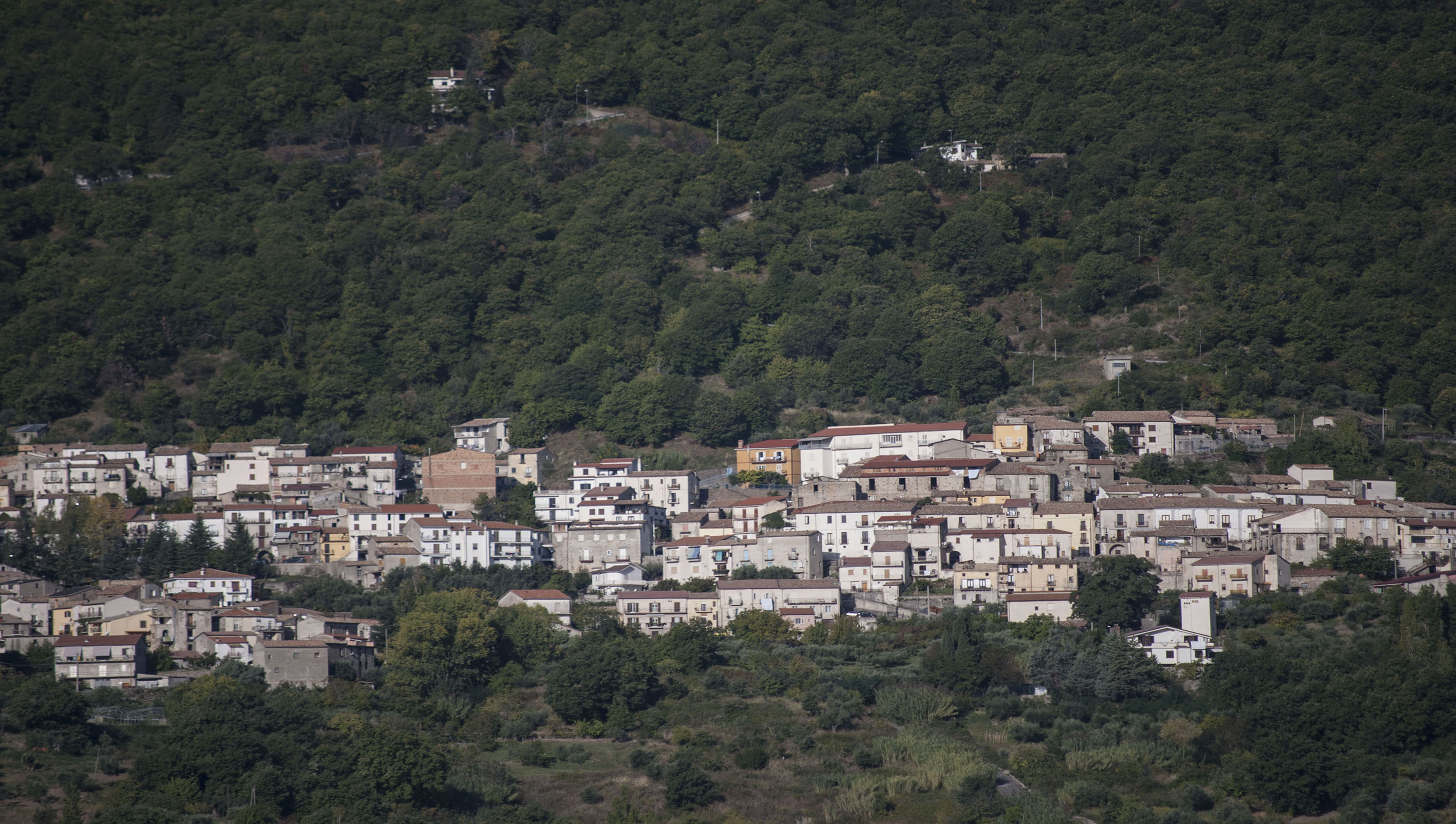 Rota Greca